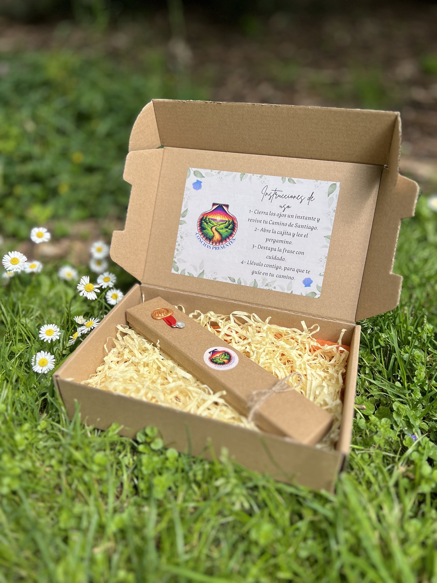 Caja de presentación abierta con el packaging de Conchas Presentes. Un regalo elegante y simbólico del Camino de Santiago.