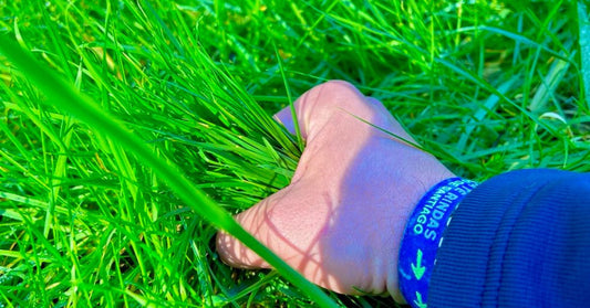 Mano agarrando con fuerza un trozo de césped, simbolizando el esfuerzo, la transformación personal y los desafíos del Camino de Santiago. Imagen emocional que acompaña un artículo sobre la experiencia interior del peregrino