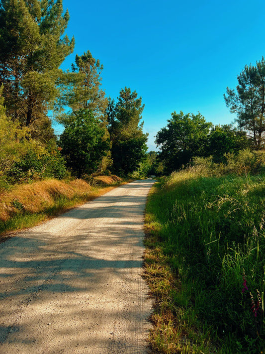 Lo que más echo de menos del Camino no es el paisaje. Es cómo me sentía dentro de él.